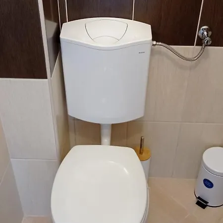 Horizont Vendeghaz בית הארחה Sárospatak